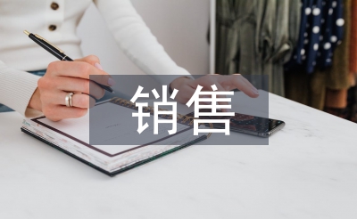 電商銷售總監轉正工作