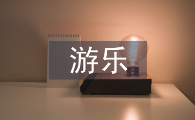 游樂實訓總結