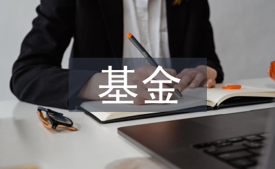 基金的投資策略