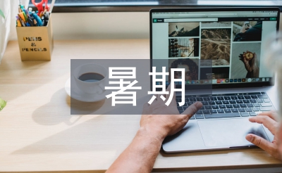 大學生暑期實習論文