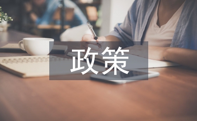 新經(jīng)濟政策的弊端