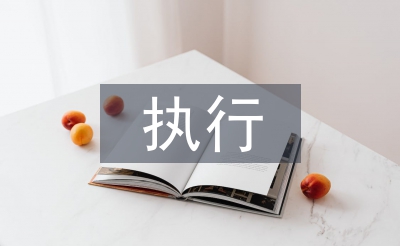 執行局局長述職報告