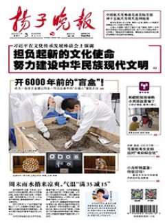 揚(yáng)子晚報雜志