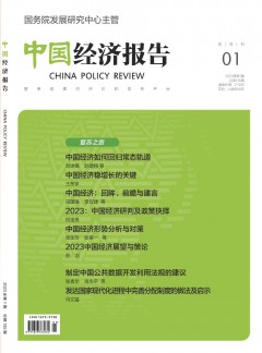 中國經(jīng)濟(jì)報告雜志