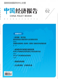 中國經(jīng)濟(jì)報告雜志