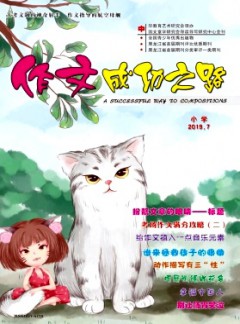 作文成功之路·小學雜志