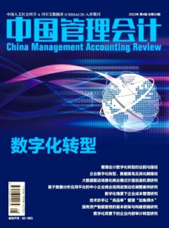 中國管理會計(jì)雜志